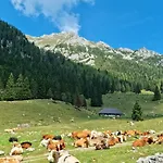 Hotel Trivrh Outdoor Zirovnica