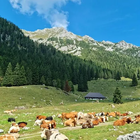 Hotel Trivrh Outdoor Zirovnica