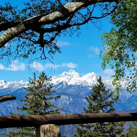 Trivrh Outdoor Hotel