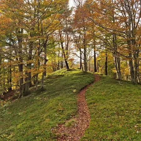 Hotel Trivrh Outdoor Hotel 3*