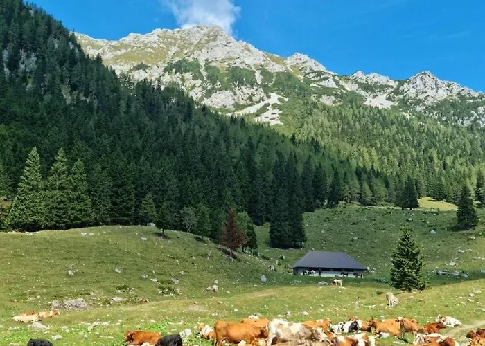 Hotel Trivrh Outdoor Hotel Zirovnica