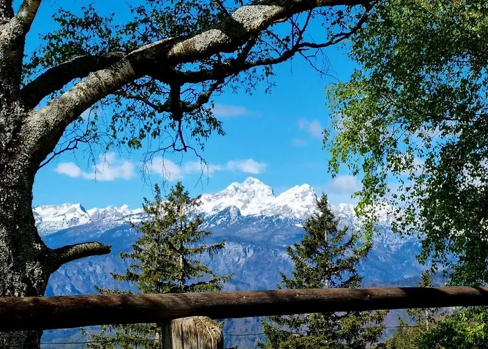 Trivrh Outdoor Hotel