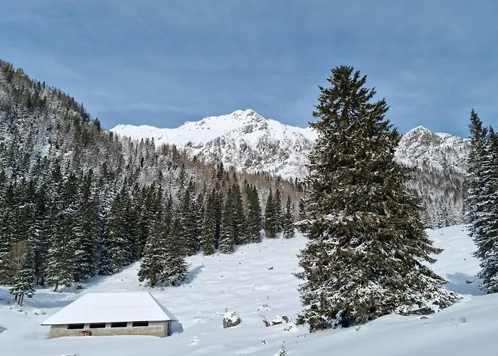 酒店 Trivrh Outdoor Hotel 3*