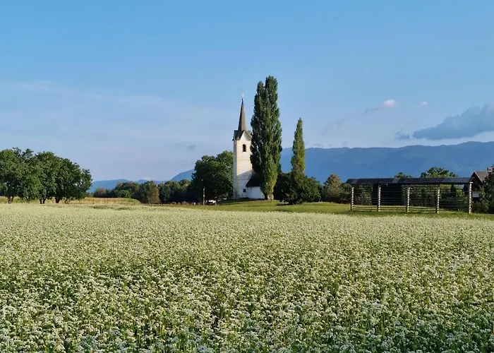 Trivrh Outdoor Hotel Hotel Zirovnica