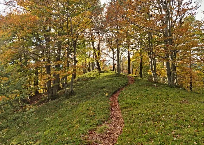 酒店 Trivrh Outdoor Hotel 3*