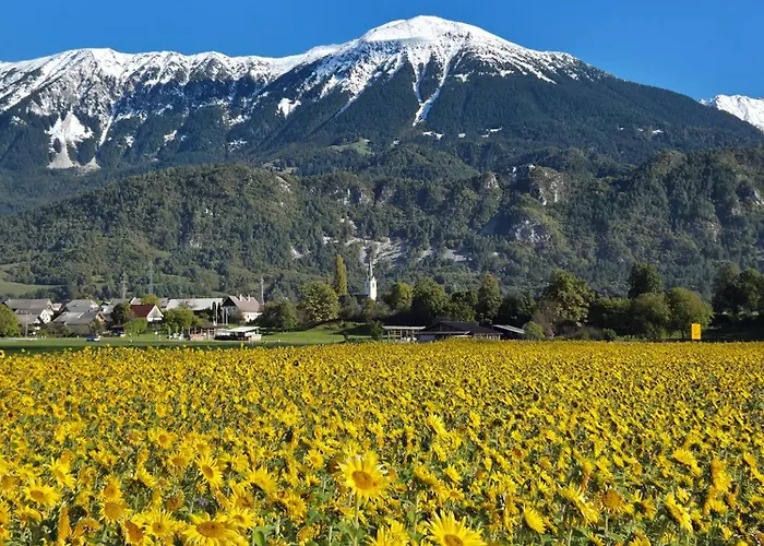 Trivrh Outdoor Hotel Hotel 3*